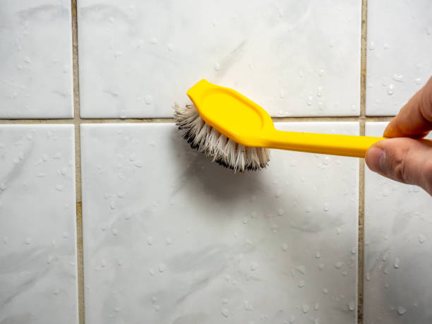 Best Mold Remediation  in Manitowoc, WI