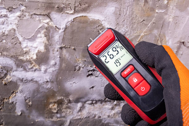 Best Attic Mold Removal  in Manitowoc, WI