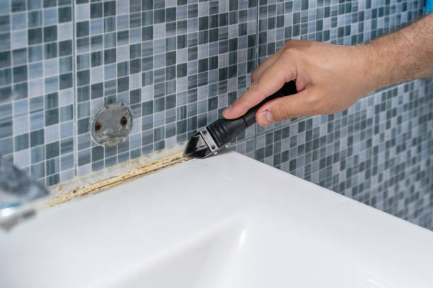 Best Commercial Mold Removal  in Manitowoc, WI