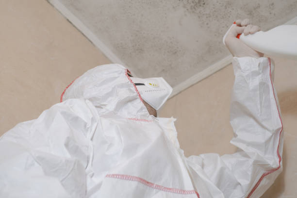 Best Mold Removal Specialists  in Manitowoc, WI