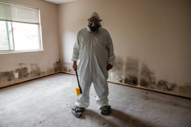 Best Mold Testing  in Manitowoc, WI