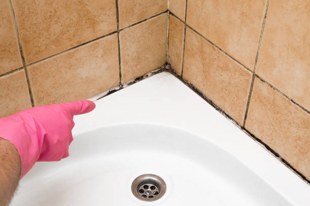 Best Emergency Mold Removal  in Manitowoc, WI